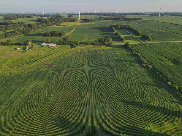 000 Todd, OHIO, Illinois 61349, ,Land,For Sale,Todd,202604239