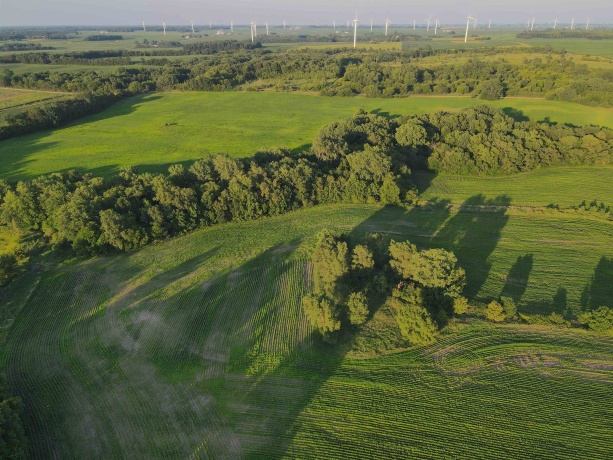000 Todd, OHIO, Illinois 61349, ,Land,For Sale,Todd,202604239
