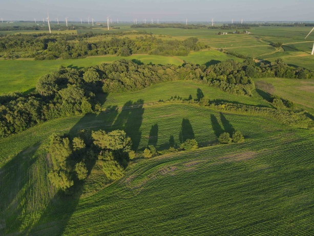 000 Todd, OHIO, Illinois 61349, ,Land,For Sale,Todd,202604239