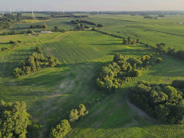 000 Todd, OHIO, Illinois 61349, ,Land,For Sale,Todd,202604239