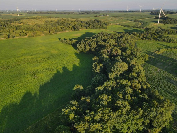 000 Todd, OHIO, Illinois 61349, ,Land,For Sale,Todd,202604239