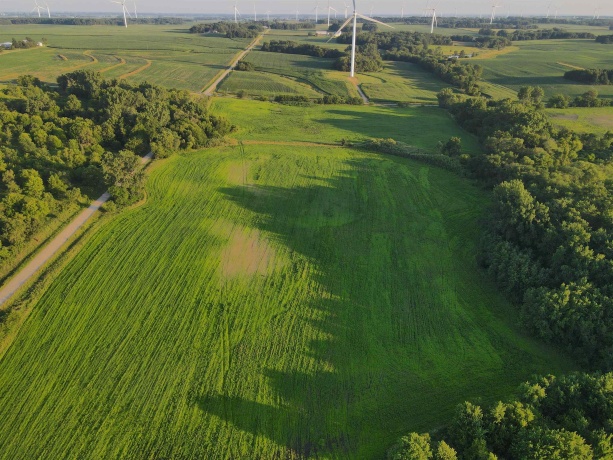 000 Todd, OHIO, Illinois 61349, ,Land,For Sale,Todd,202604239