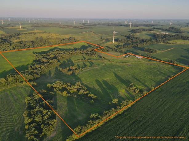 000 Todd, OHIO, Illinois 61349, ,Land,For Sale,Todd,202604239