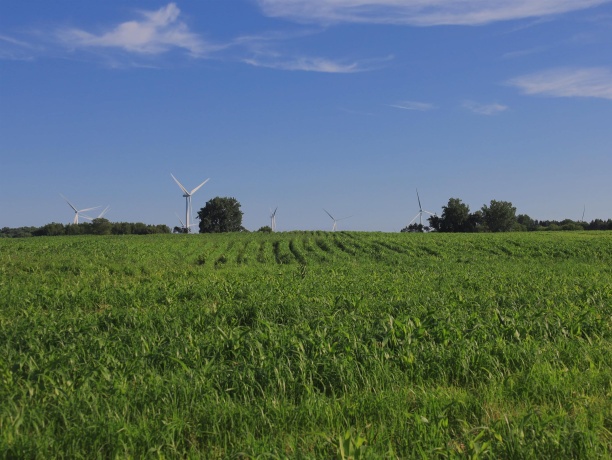 000 Todd, OHIO, Illinois 61349, ,Land,For Sale,Todd,202604239