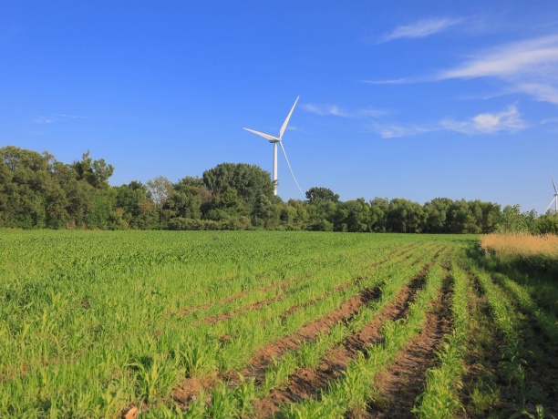 000 Todd, OHIO, Illinois 61349, ,Land,For Sale,Todd,202604239