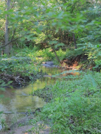 000 Todd, OHIO, Illinois 61349, ,Land,For Sale,Todd,202604239