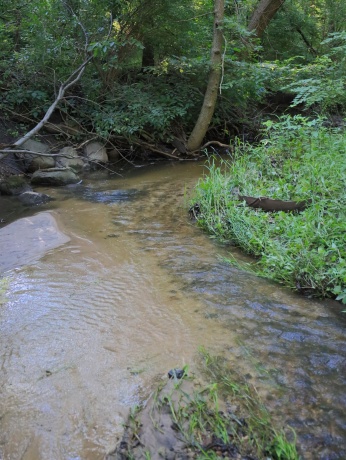 000 Todd, OHIO, Illinois 61349, ,Land,For Sale,Todd,202604239