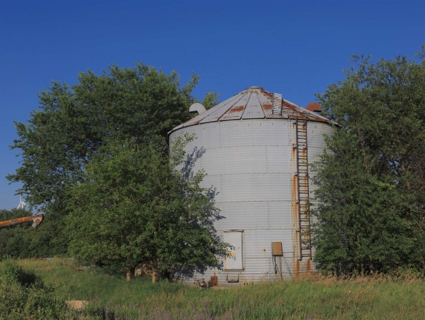 000 Todd, OHIO, Illinois 61349, ,Land,For Sale,Todd,202604239