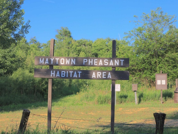 000 Todd, OHIO, Illinois 61349, ,Land,For Sale,Todd,202604239
