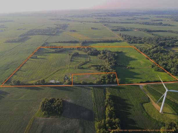 000 Todd, OHIO, Illinois 61349, ,Land,For Sale,Todd,202604239