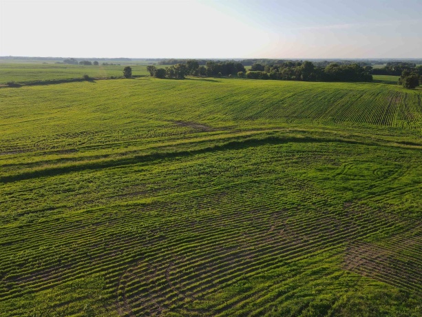 000 Todd, OHIO, Illinois 61349, ,Land,For Sale,Todd,202604239