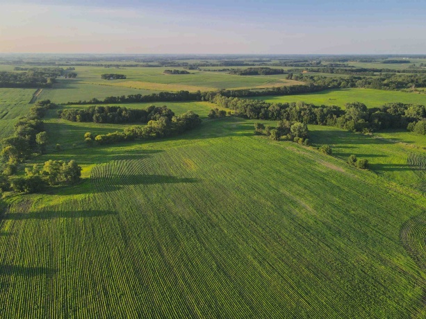 000 Todd, OHIO, Illinois 61349, ,Land,For Sale,Todd,202604239
