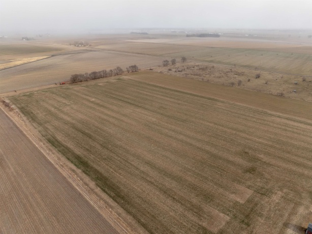 00 Lomax, PROPHETSTOWN, Illinois 61277, ,Land,For Sale,Lomax,202604252