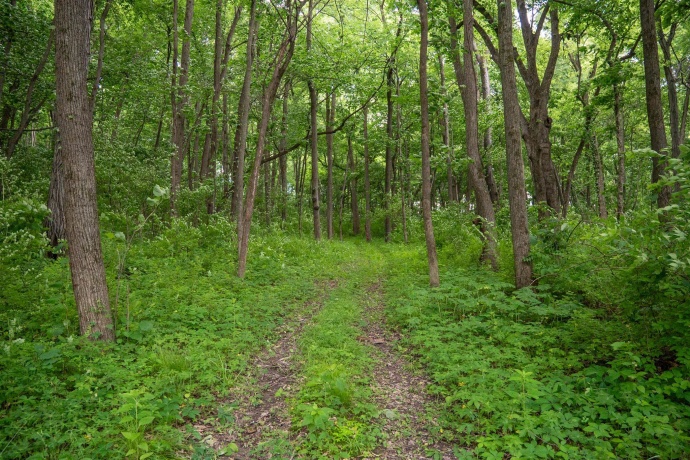 13682 Stateline Rd., DURAND, Illinois 61024, ,Land,For Sale,Stateline Rd.,202604267