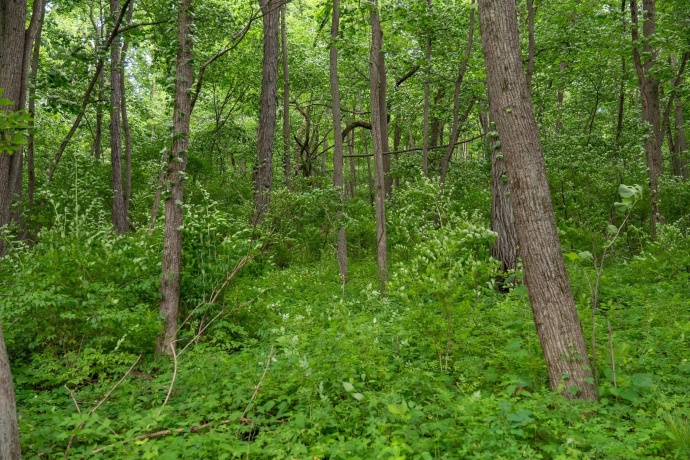 13682 Stateline Rd., DURAND, Illinois 61024, ,Land,For Sale,Stateline Rd.,202604267