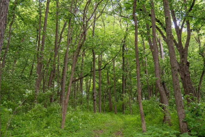 13682 Stateline Rd., DURAND, Illinois 61024, ,Land,For Sale,Stateline Rd.,202604267