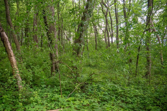 13682 Stateline Rd., DURAND, Illinois 61024, ,Land,For Sale,Stateline Rd.,202604267