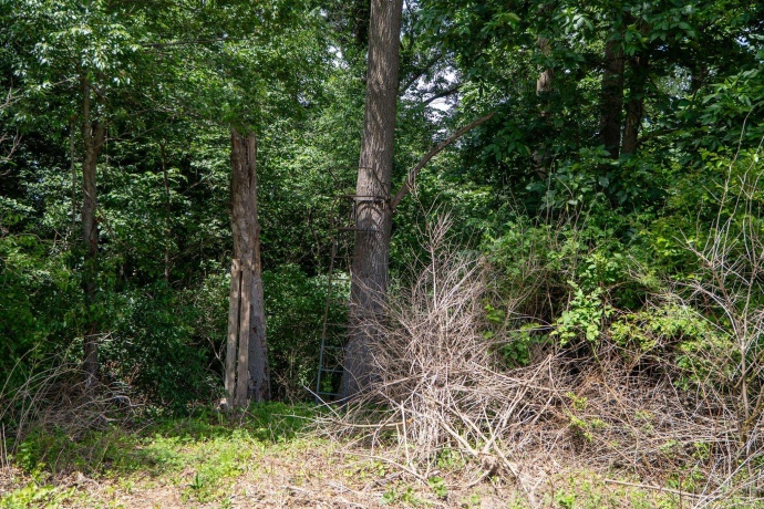 13682 Stateline Rd., DURAND, Illinois 61024, ,Land,For Sale,Stateline Rd.,202604267