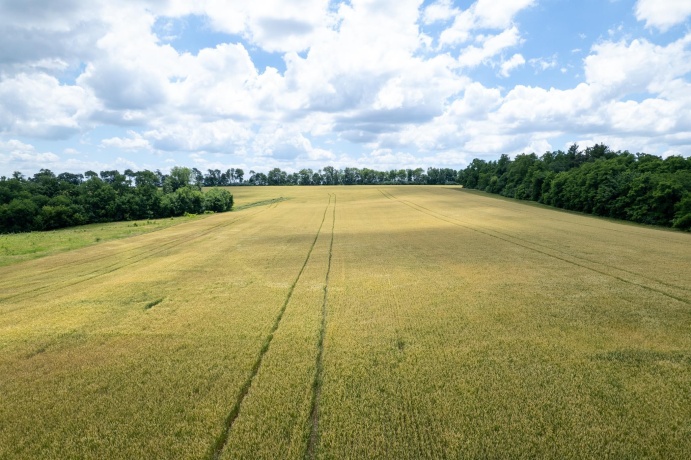 13682 Stateline Rd., DURAND, Illinois 61024, ,Land,For Sale,Stateline Rd.,202604267
