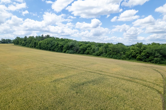 13682 Stateline Rd., DURAND, Illinois 61024, ,Land,For Sale,Stateline Rd.,202604267