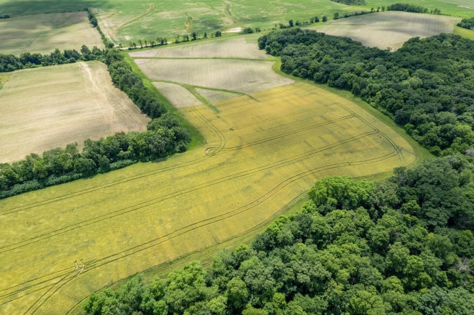13682 Stateline Rd., DURAND, Illinois 61024, ,Land,For Sale,Stateline Rd.,202604267