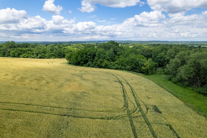 13682 Stateline Rd., DURAND, Illinois 61024, ,Land,For Sale,Stateline Rd.,202604267