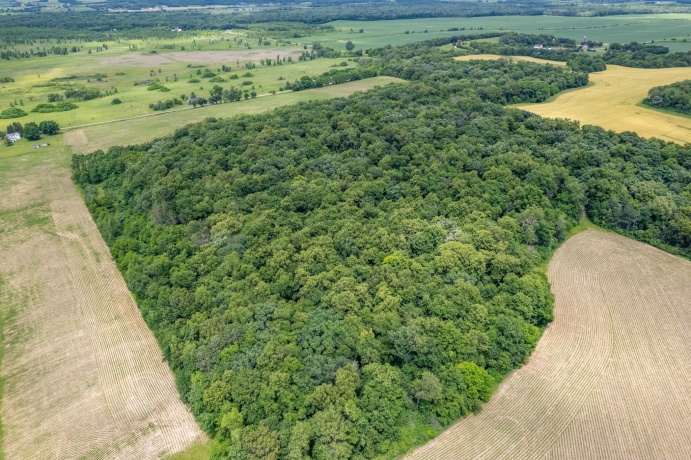 13682 Stateline Rd., DURAND, Illinois 61024, ,Land,For Sale,Stateline Rd.,202604267