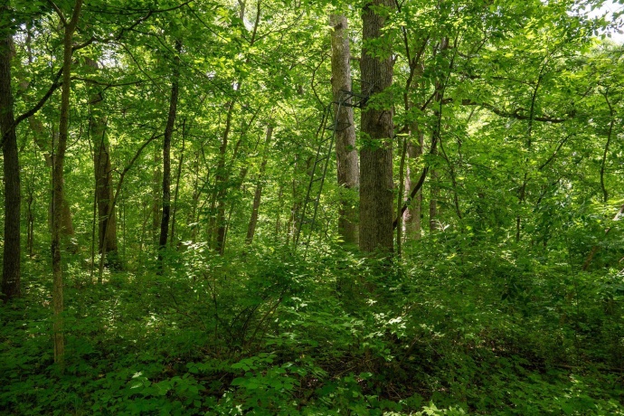 13682 Stateline Rd., DURAND, Illinois 61024, ,Land,For Sale,Stateline Rd.,202604267