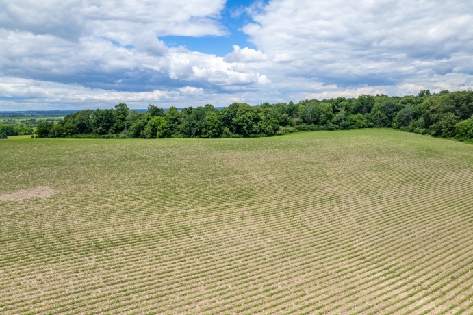 13682 Stateline Rd., DURAND, Illinois 61024, ,Land,For Sale,Stateline Rd.,202604267