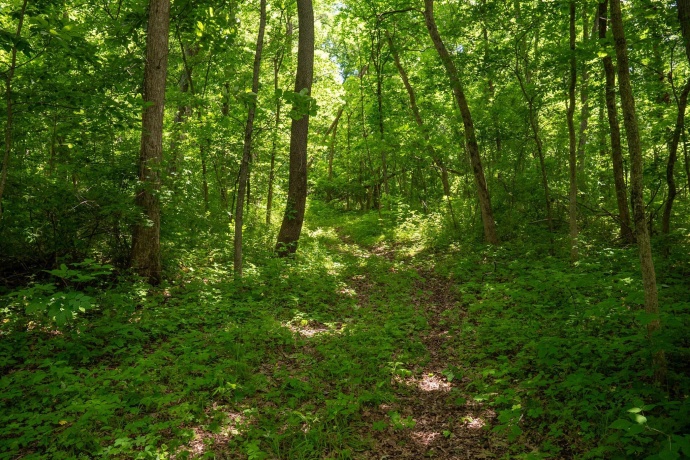 13682 Stateline Rd., DURAND, Illinois 61024, ,Land,For Sale,Stateline Rd.,202604267