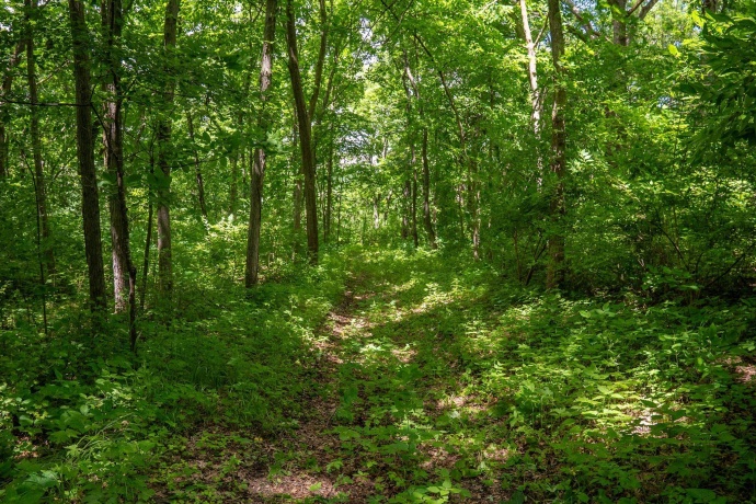 13682 Stateline Rd., DURAND, Illinois 61024, ,Land,For Sale,Stateline Rd.,202604267