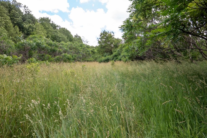 13682 Stateline Rd., DURAND, Illinois 61024, ,Land,For Sale,Stateline Rd.,202604267