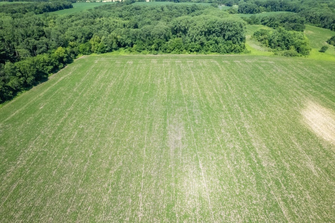 0 INLET RD, AMBOY, Illinois 61310, ,Land,For Sale,INLET RD,202604268