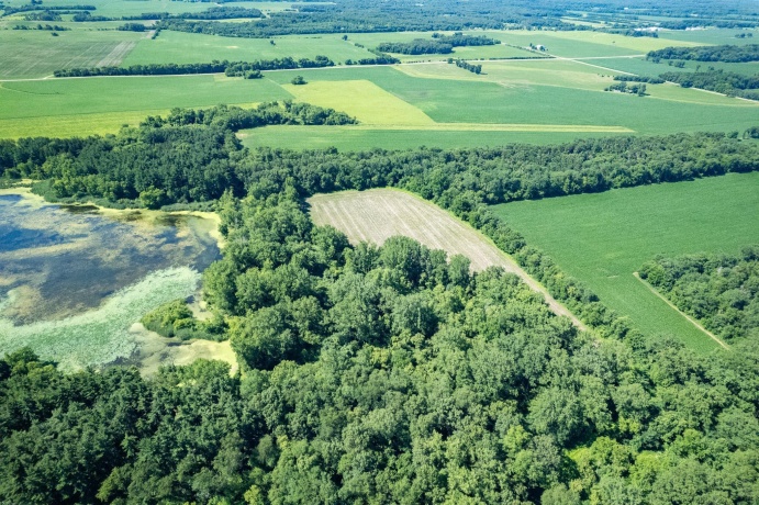 0 INLET RD, AMBOY, Illinois 61310, ,Land,For Sale,INLET RD,202604268