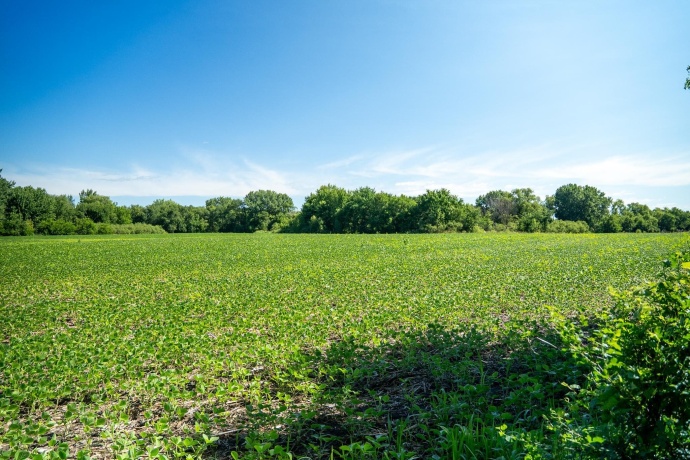 0 INLET RD, AMBOY, Illinois 61310, ,Land,For Sale,INLET RD,202604268