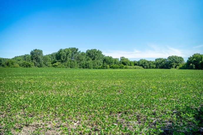 0 INLET RD, AMBOY, Illinois 61310, ,Land,For Sale,INLET RD,202604268