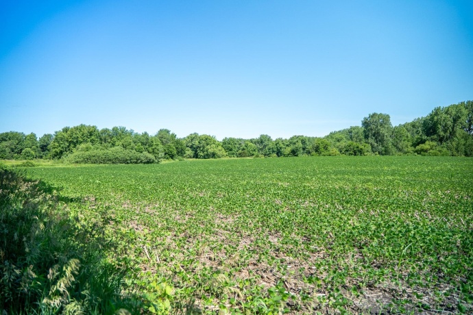 0 INLET RD, AMBOY, Illinois 61310, ,Land,For Sale,INLET RD,202604268
