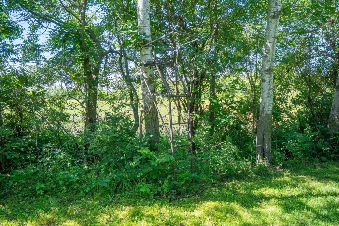 0 INLET RD, AMBOY, Illinois 61310, ,Land,For Sale,INLET RD,202604268