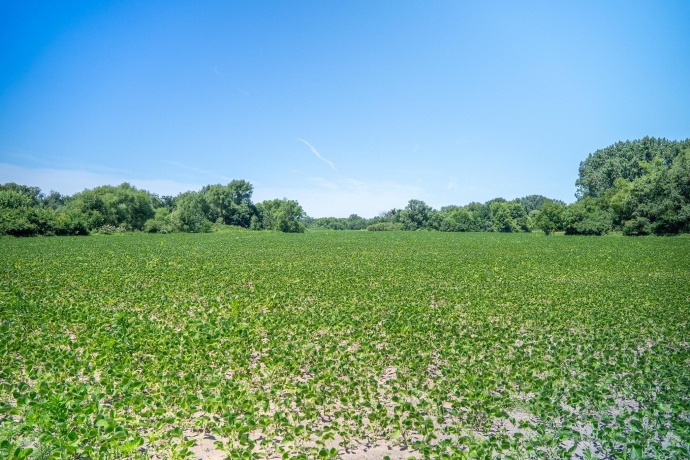 0 INLET RD, AMBOY, Illinois 61310, ,Land,For Sale,INLET RD,202604268