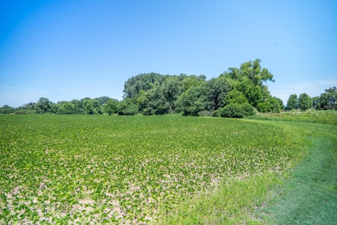 0 INLET RD, AMBOY, Illinois 61310, ,Land,For Sale,INLET RD,202604268