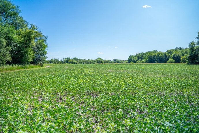 0 INLET RD, AMBOY, Illinois 61310, ,Land,For Sale,INLET RD,202604268