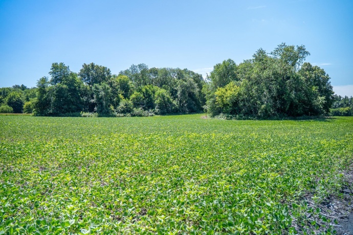 0 INLET RD, AMBOY, Illinois 61310, ,Land,For Sale,INLET RD,202604268
