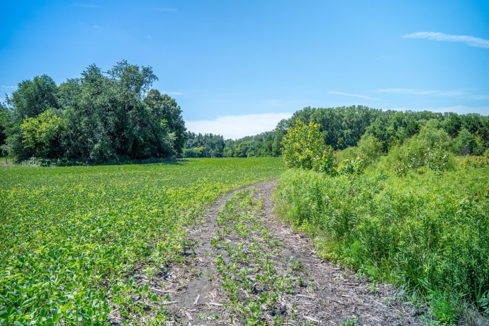 0 INLET RD, AMBOY, Illinois 61310, ,Land,For Sale,INLET RD,202604268