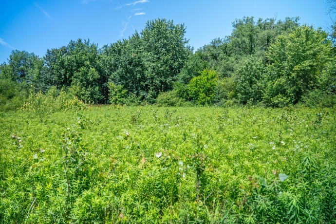 0 INLET RD, AMBOY, Illinois 61310, ,Land,For Sale,INLET RD,202604268