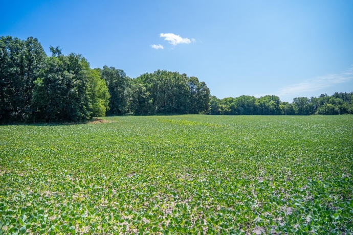 0 INLET RD, AMBOY, Illinois 61310, ,Land,For Sale,INLET RD,202604268