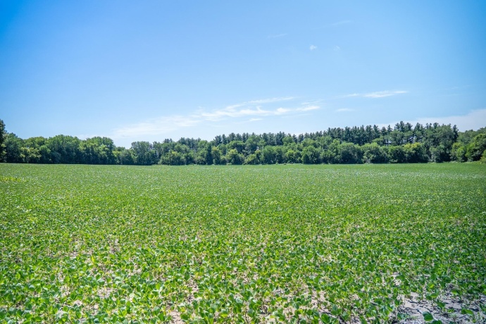 0 INLET RD, AMBOY, Illinois 61310, ,Land,For Sale,INLET RD,202604268