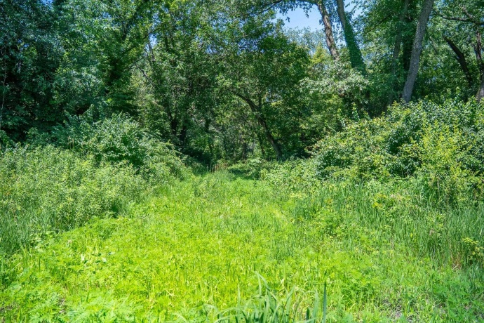 0 INLET RD, AMBOY, Illinois 61310, ,Land,For Sale,INLET RD,202604268