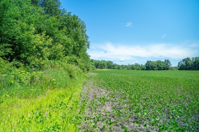 0 INLET RD, AMBOY, Illinois 61310, ,Land,For Sale,INLET RD,202604268