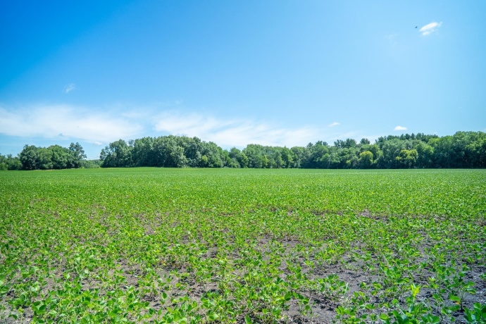 0 INLET RD, AMBOY, Illinois 61310, ,Land,For Sale,INLET RD,202604268