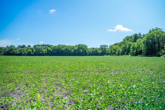 0 INLET RD, AMBOY, Illinois 61310, ,Land,For Sale,INLET RD,202604268